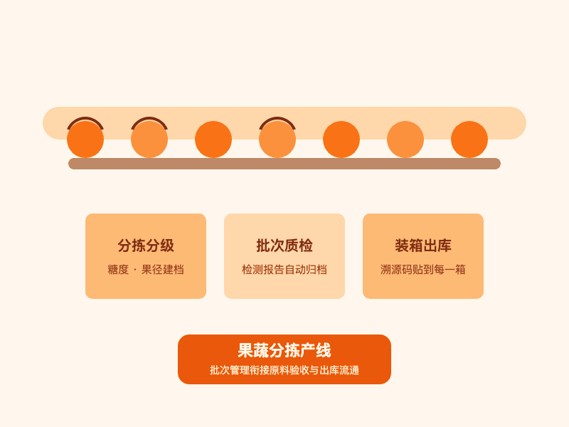 果蔬分拣加工产线实景